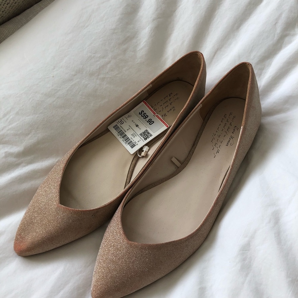 Ballerina flats from Zara - Never Worn